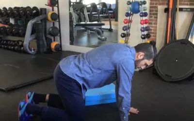Exercise of the Week: Proper Gardening Technique #1 – Quadruped Position