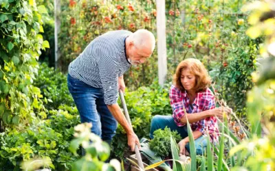 Gardening Technique Guide!